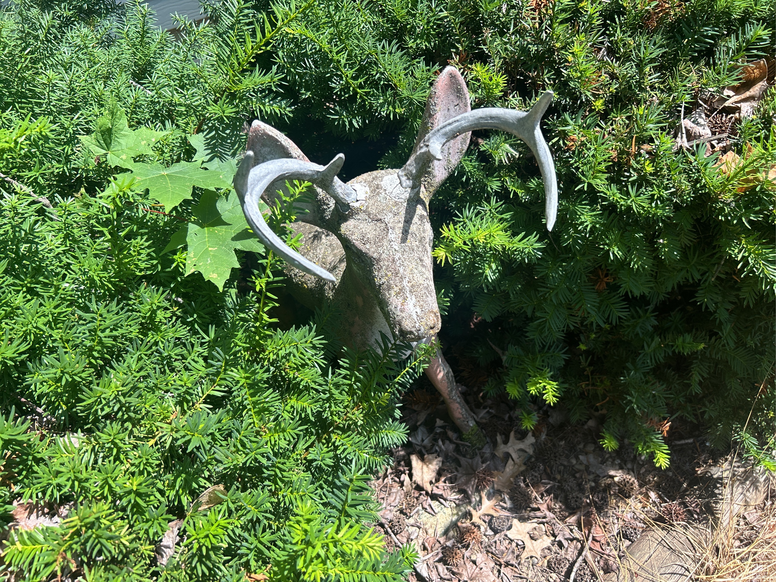 Lot image 3