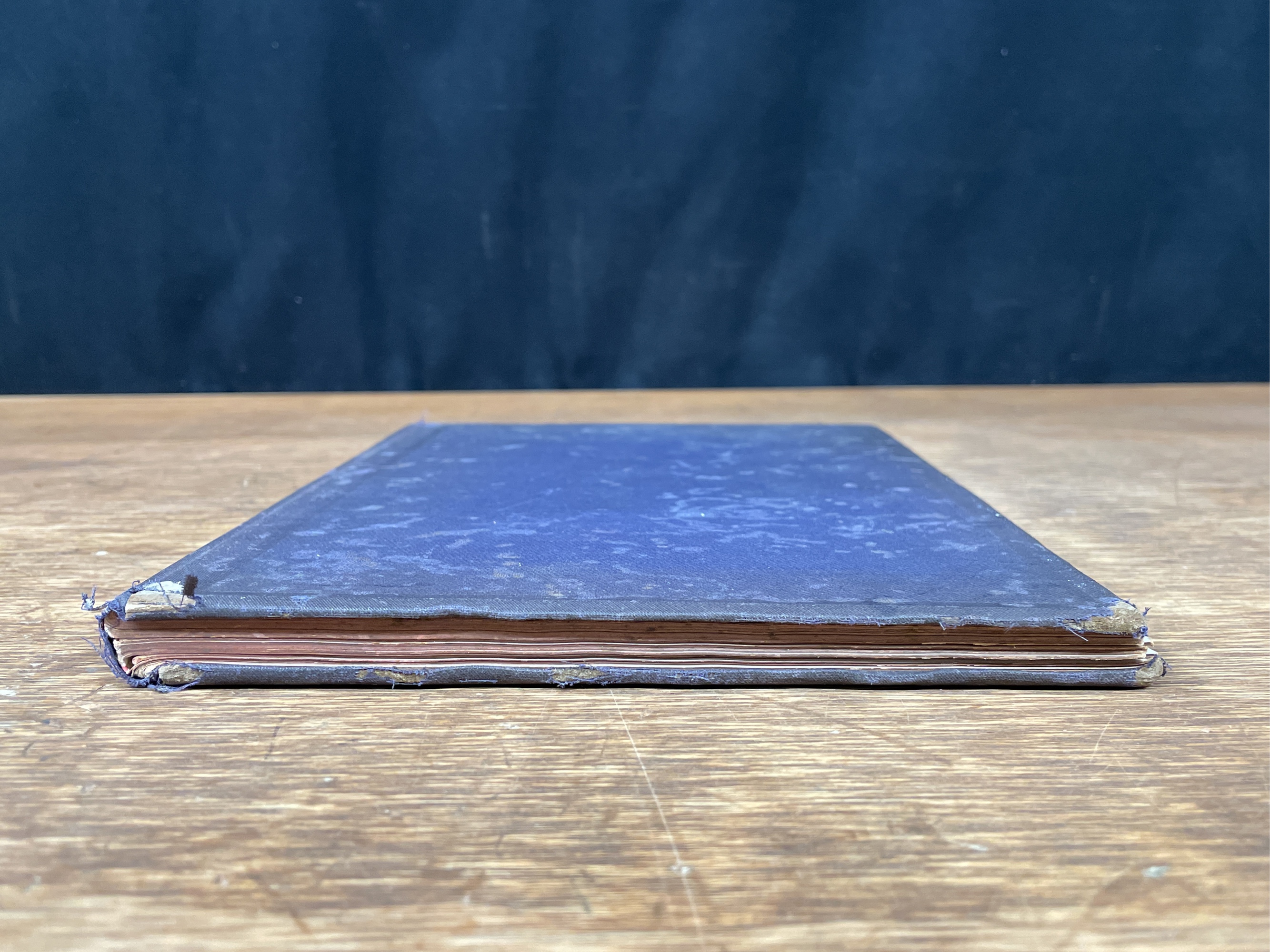 Lot image 12