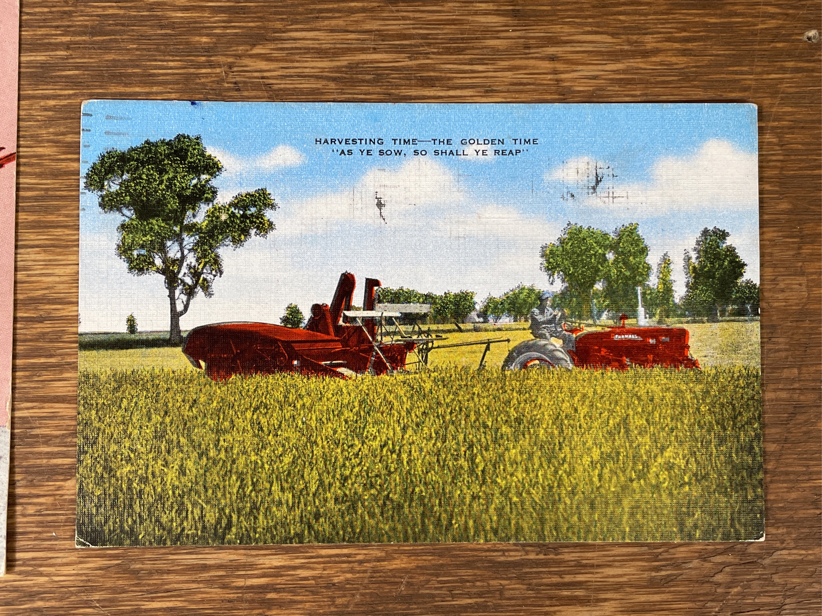 Lot image 6