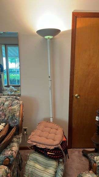 Floor Lamp and Assorted Chair Cushions