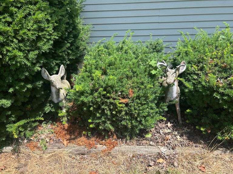 Concrete Deer image