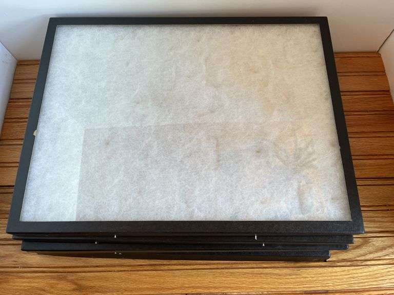 (17) Display Cases