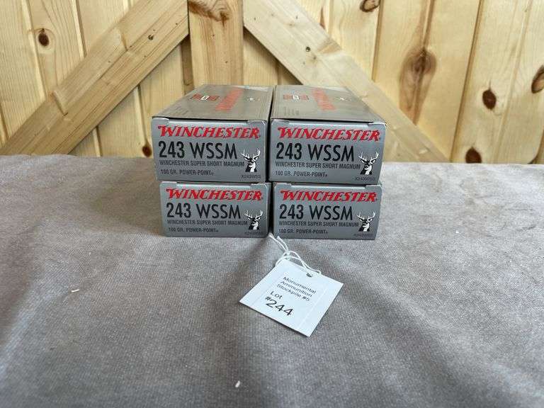 4 Boxes 100 Gr. PP .243 WSSM