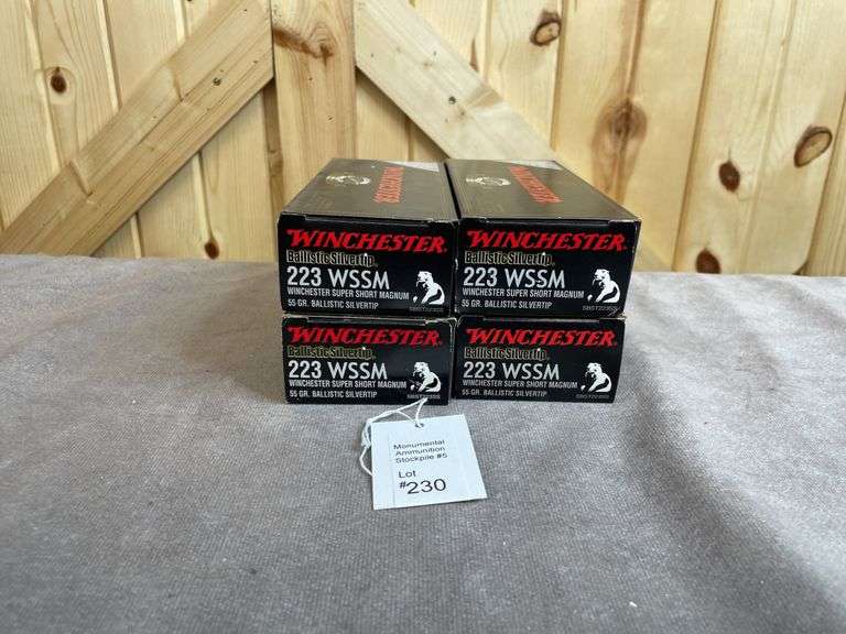 4 Boxes Winchester 55 Gr. Ballistic ST .223 WSSM