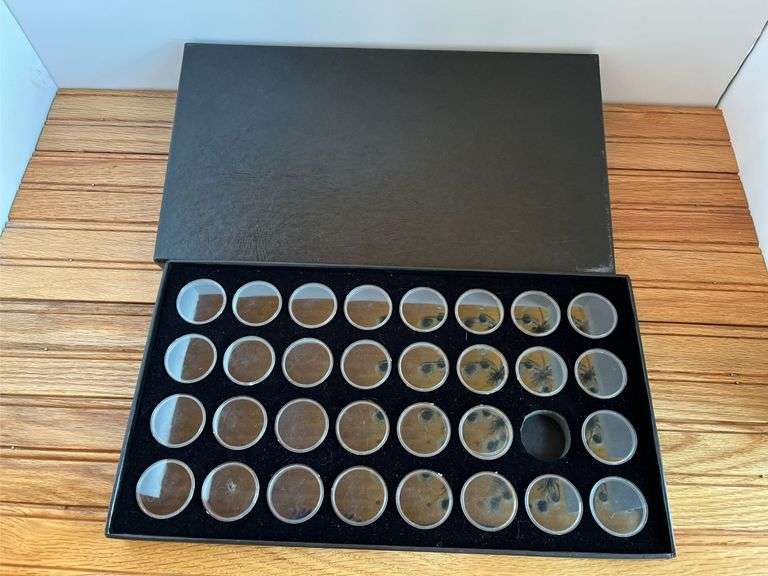 (17) Display Cases