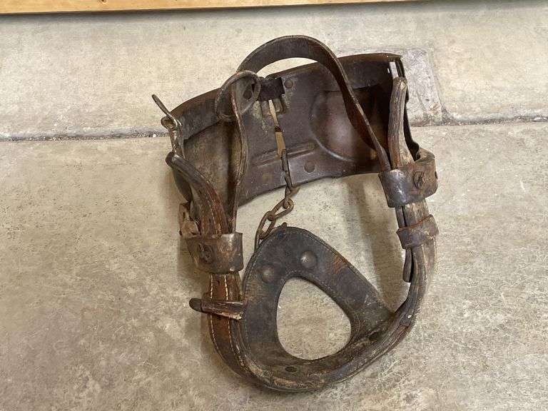 (2) Bull Blinder + Grain Sack Holder