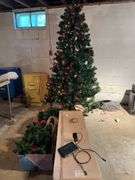 Christmas Tree and Greenery