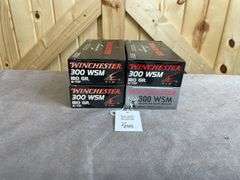 4 Boxes   Winchester 150 & 180 Gr. PP & E-Tip .300 WSM
