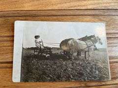 (4) Photo Postcards