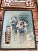 (5) Advertising Pictures