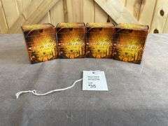 4 Boxes Federal 158 Gr. Fusion .357 Magnum