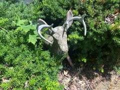 Concrete Deer