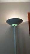 Floor Lamp and Assorted Chair Cushions