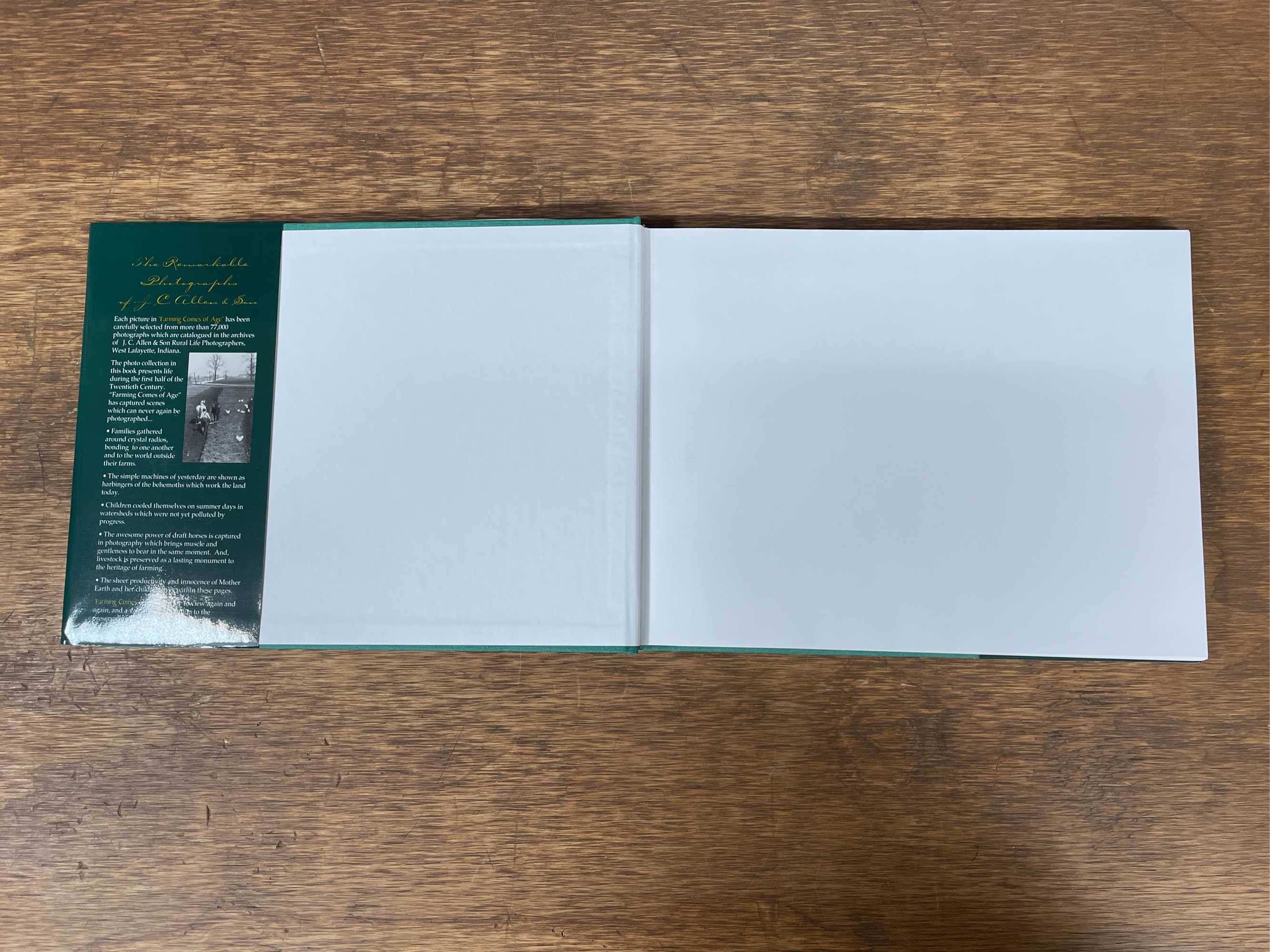 Lot image 3