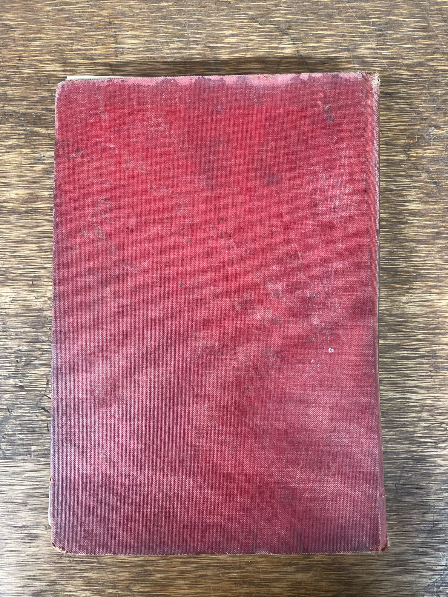 Lot image 11