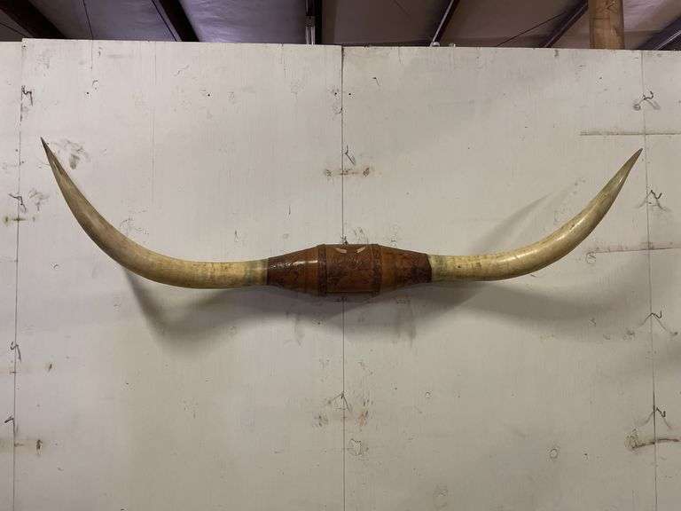 Longhorn Wall Mount image