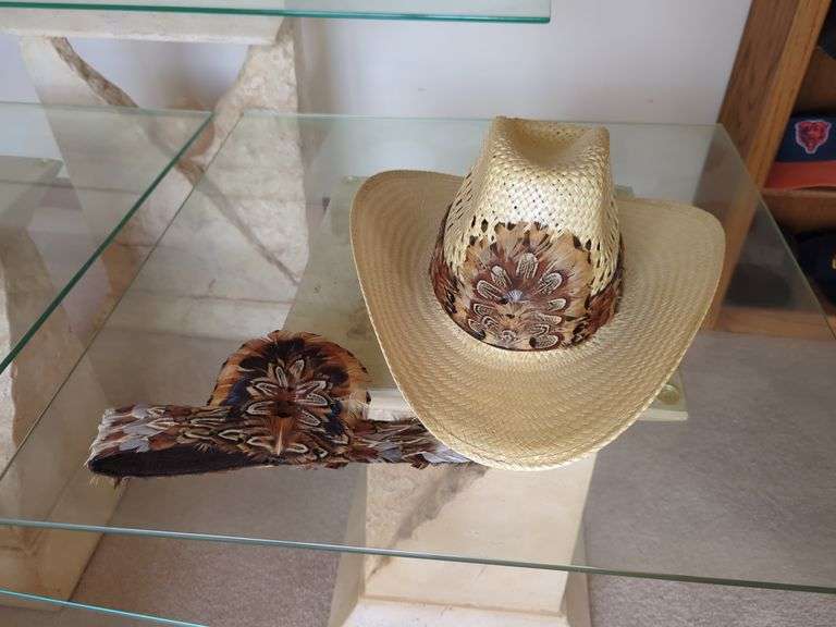 Cowboy Hat with Feathers Lot image