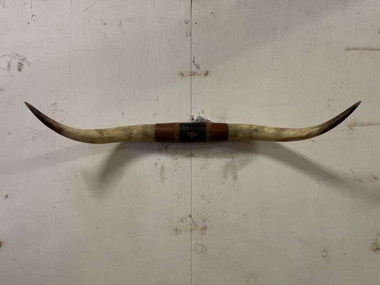 Longhorn Wall Mount image