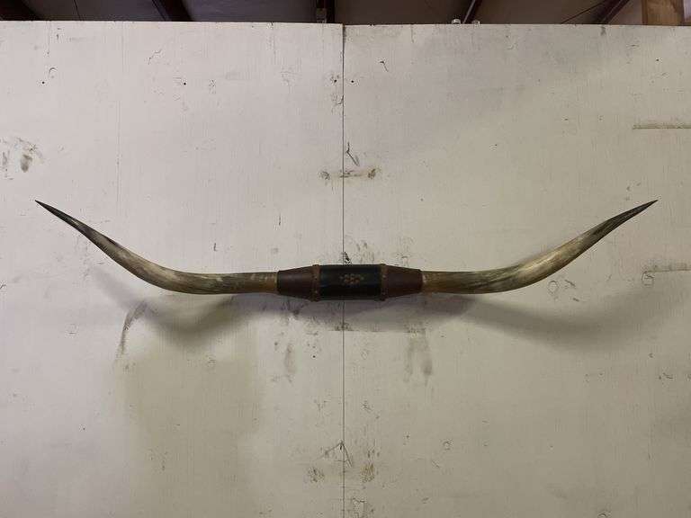 Longhorn Wall Mount image