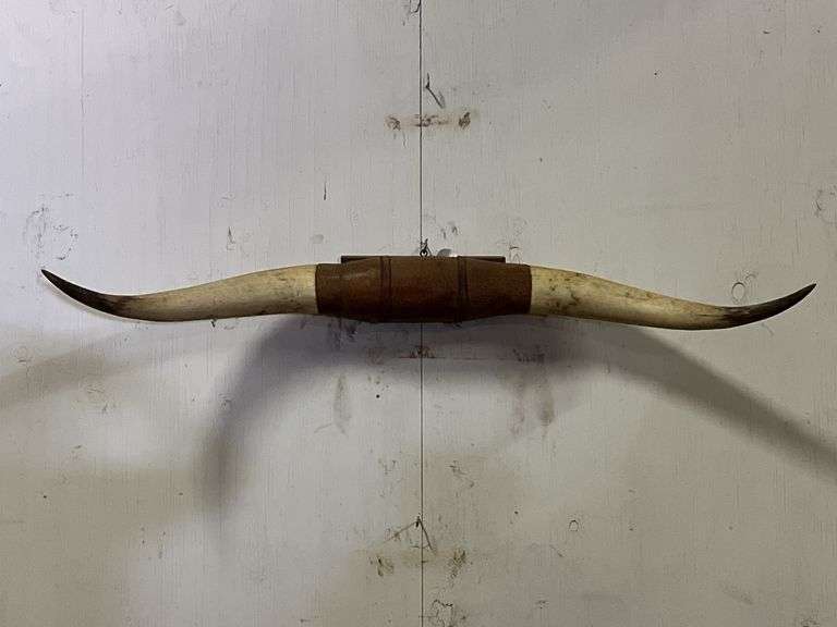 Longhorn Wall Mount image