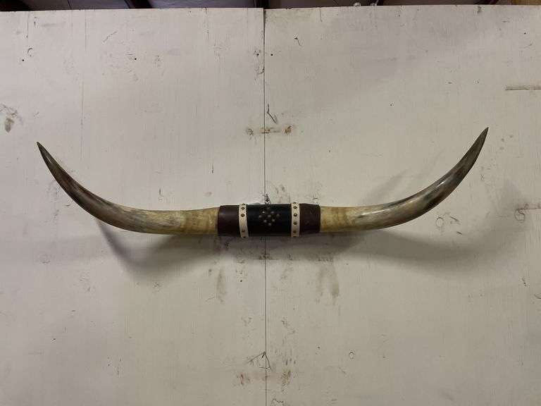 Longhorn Wall Mount image