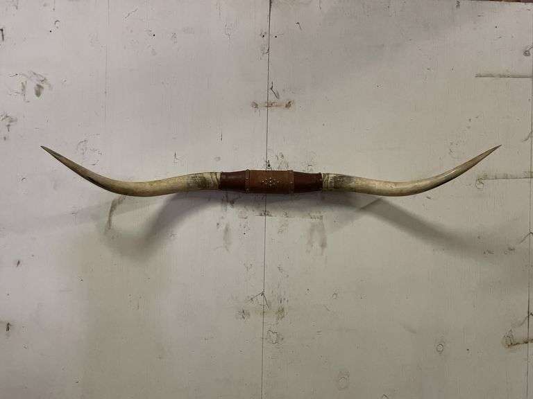 Longhorn Wall Mount image