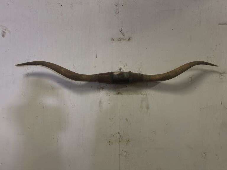 Longhorn Wall Mount image