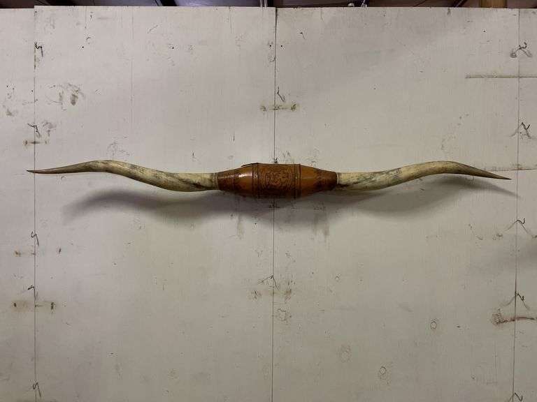Longhorn Wall Mount image