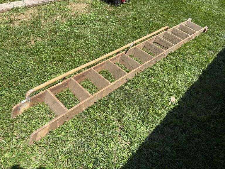 Library Ladder image