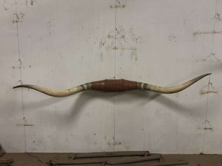 Longhorn Wall Mount image