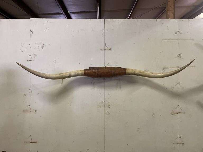 Longhorn Wall Mount image