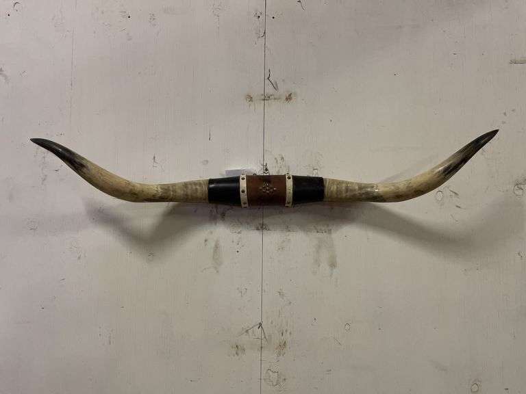 Longhorn Wall Mount image