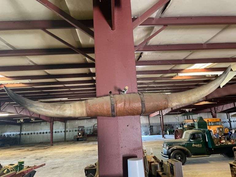 Longhorn Wall Mount image
