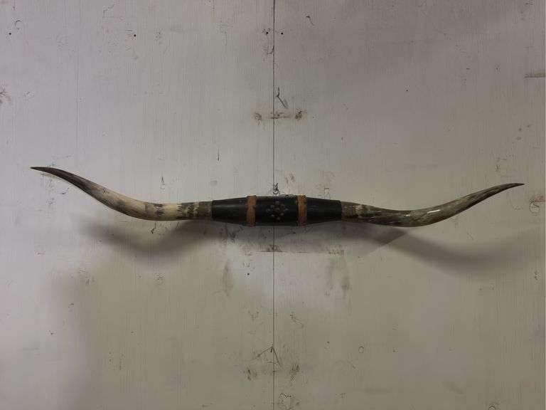 Longhorn Wall Mount image
