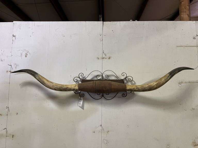 Longhorn Wall Mount image