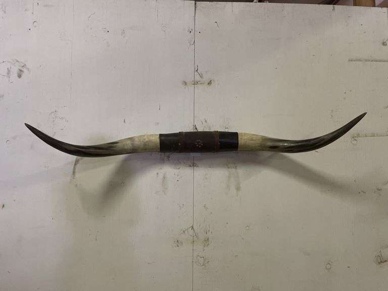Longhorn Wall Mount image