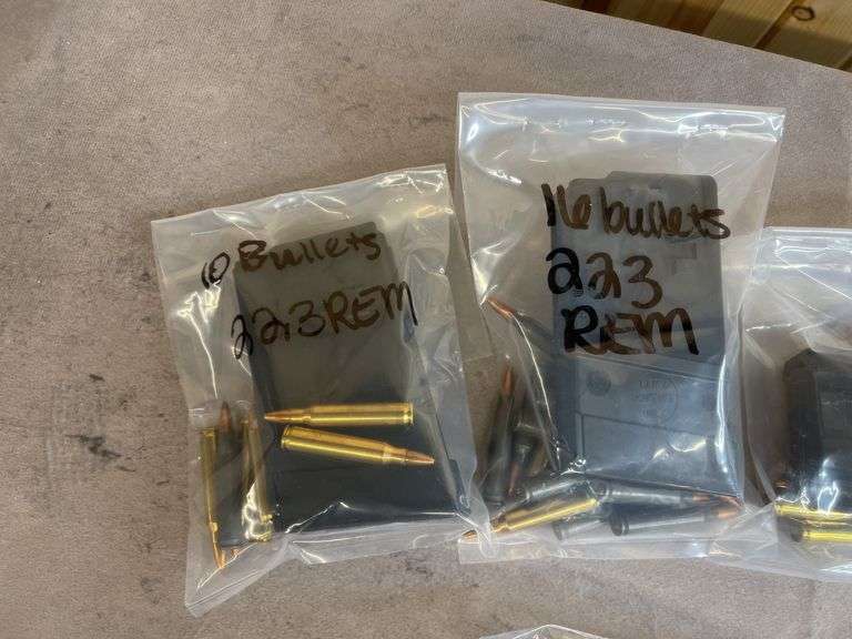 5 .223 Magazines With Misc. Ammo