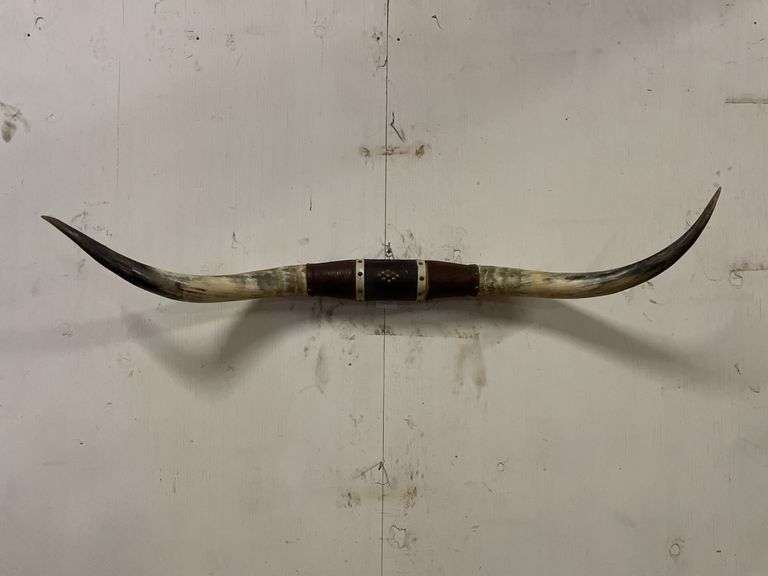 Longhorn Wall Mount image