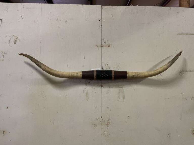 Longhorn Wall Mount image