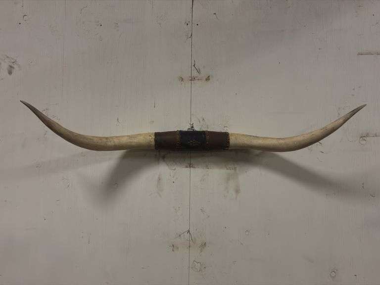 Longhorn Wall Mount image