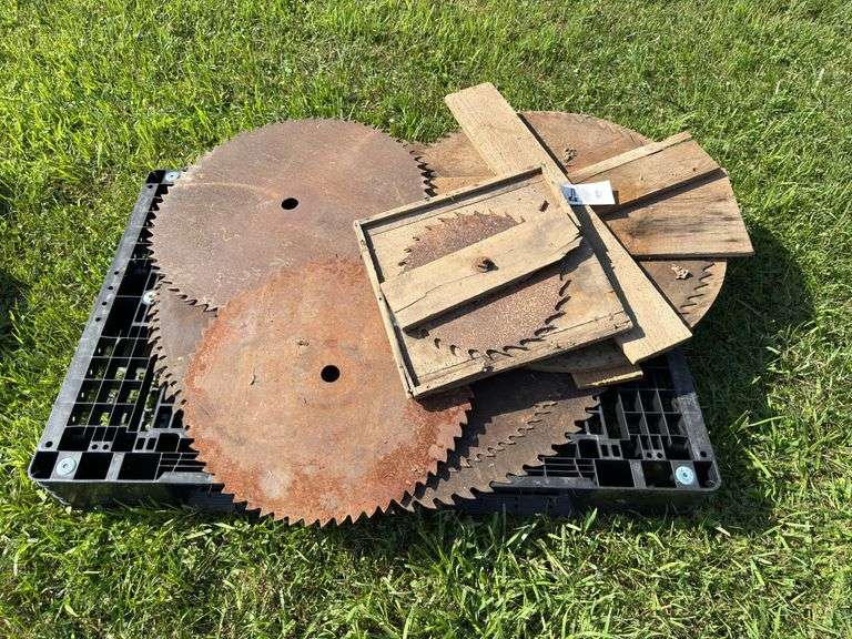 Buzz Saw Blades