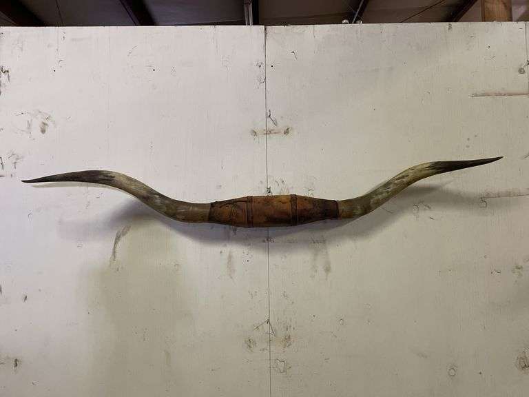 Longhorn Wall Mount image