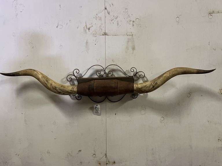 Longhorn Wall Mount image