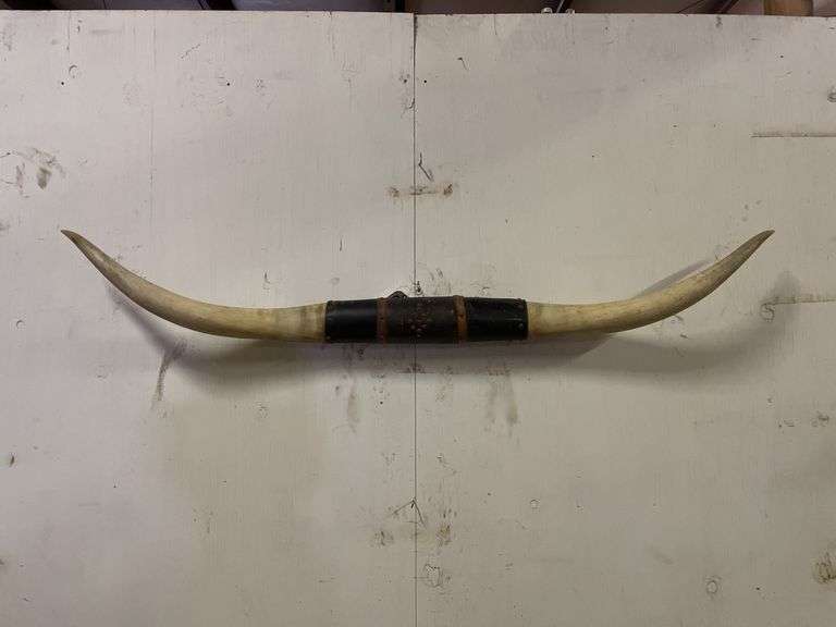 Longhorn Wall Mount image