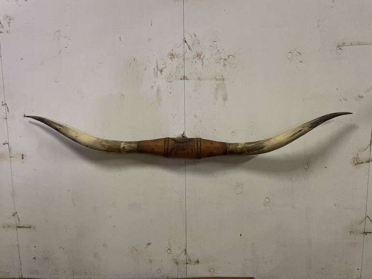 Longhorn Wall Mount image