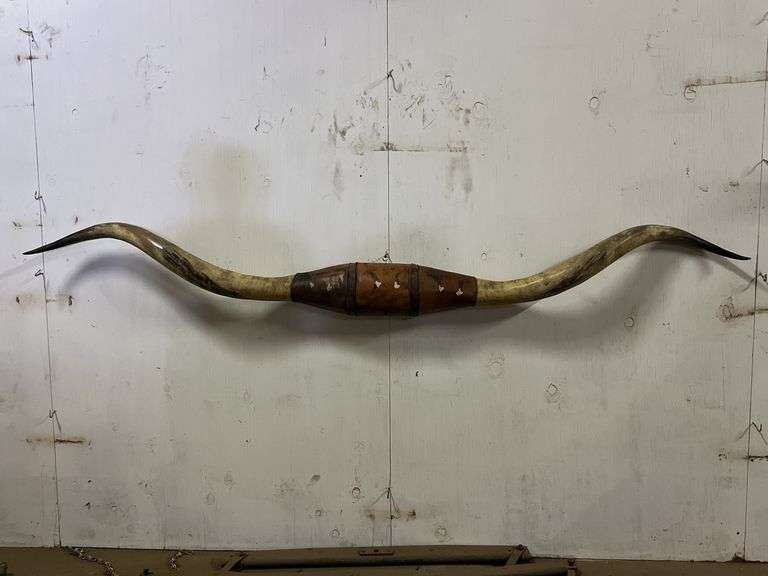 Longhorn Wall Mount image