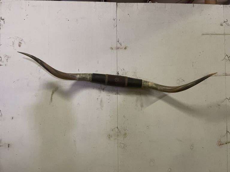 Longhorn Wall Mount image
