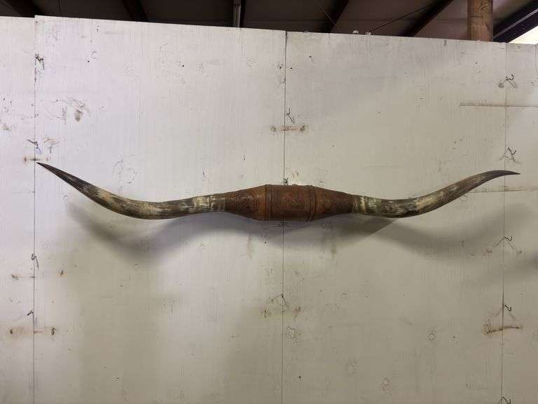 Longhorn Wall Mount image