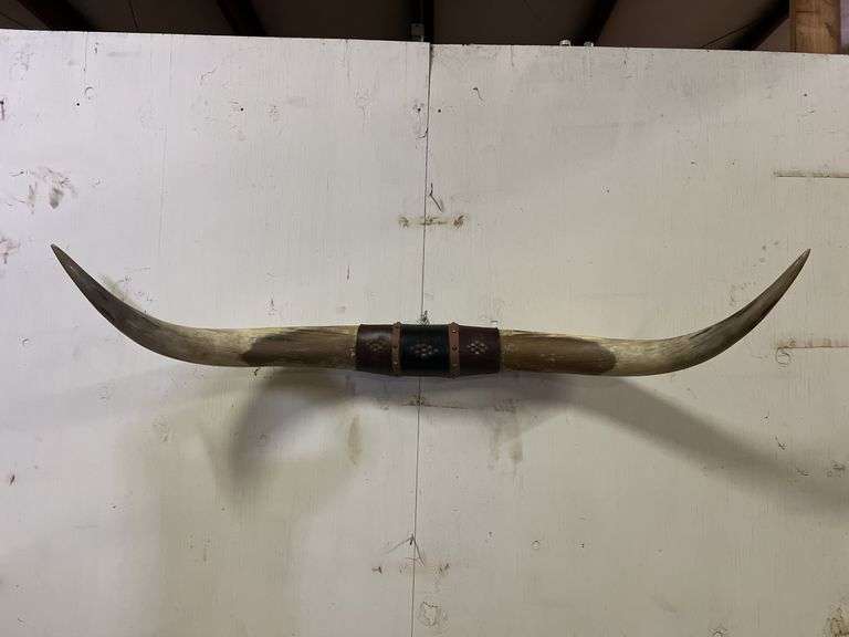Longhorn Wall Mount image