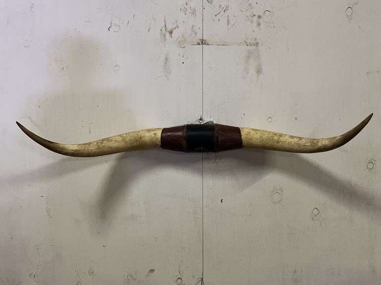 Longhorn Wall Mount image